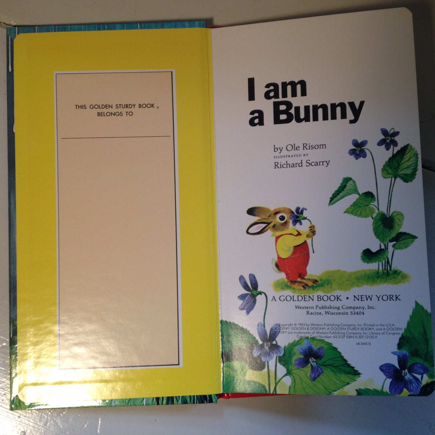 a Golden Sturdy Book I am a Bunny